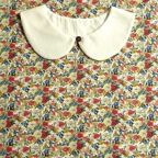 ���̑��̉摜