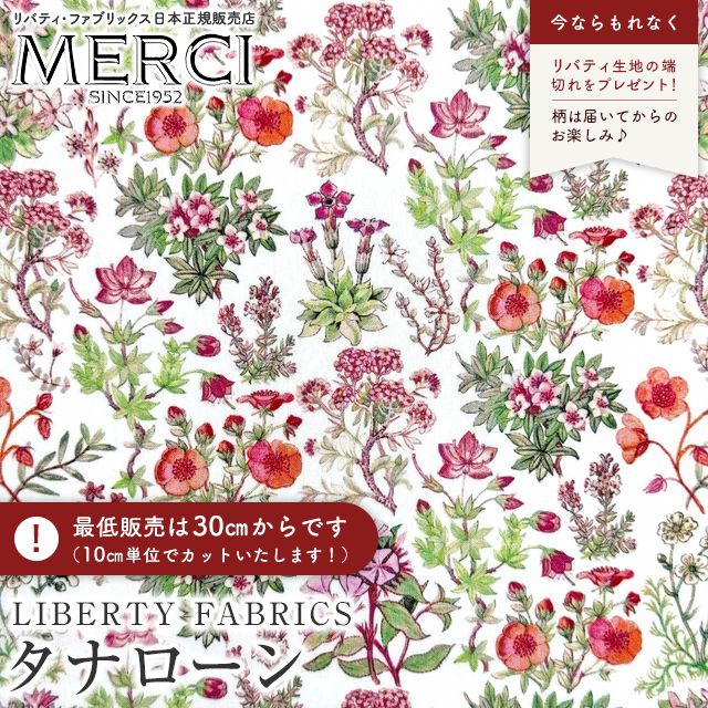 ���̑��̉摜