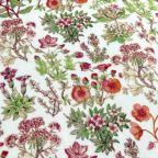 ���̑��̉摜