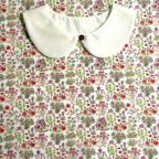 ���̑��̉摜