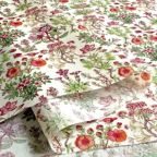 ���̑��̉摜