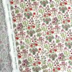 ���̑��̉摜