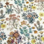 ���̑��̉摜