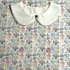 ���̑��̉摜