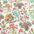 ���̑��̉摜