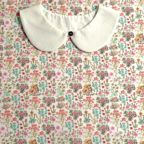 ���̑��̉摜