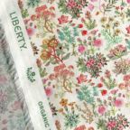 ���̑��̉摜