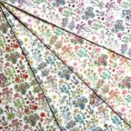 ���̑��̉摜