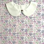 ���̑��̉摜