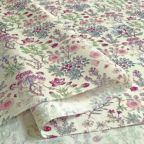 ���̑��̉摜