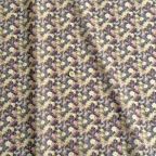 ���̑��̉摜