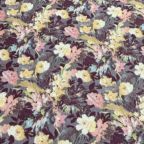 ���̑��̉摜