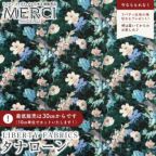 ���̑��̉摜