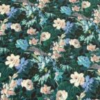 ���̑��̉摜