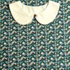 ���̑��̉摜