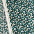 ���̑��̉摜