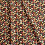 ���̑��̉摜