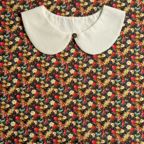 ���̑��̉摜