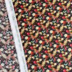 ���̑��̉摜