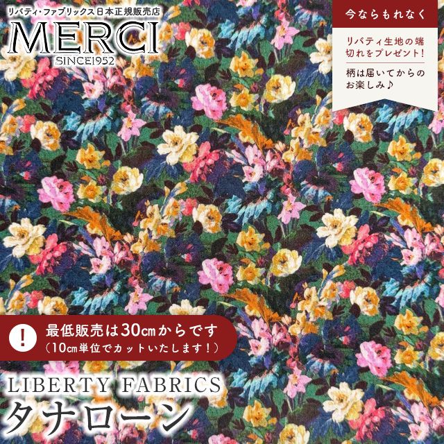 ���̑��̉摜