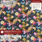 ���̑��̉摜