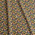 ���̑��̉摜