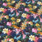 ���̑��̉摜