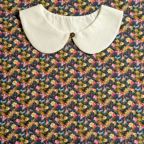 ���̑��̉摜