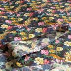 ���̑��̉摜