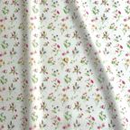 ���̑��̉摜