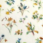 ���̑��̉摜