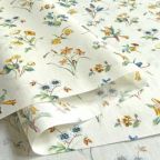 ���̑��̉摜