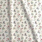 ���̑��̉摜