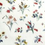 ���̑��̉摜