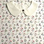 ���̑��̉摜