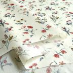 ���̑��̉摜