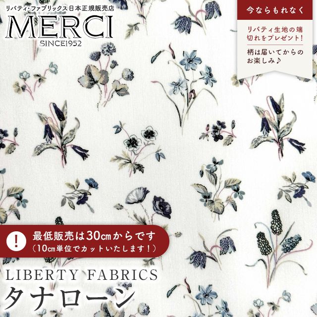 ���̑��̉摜