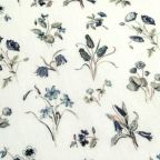 ���̑��̉摜