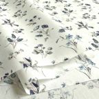 ���̑��̉摜