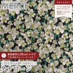 ���̑��̉摜