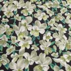 ���̑��̉摜