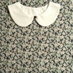 ���̑��̉摜