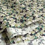 ���̑��̉摜