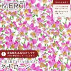 ���̑��̉摜