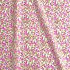 ���̑��̉摜