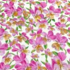 ���̑��̉摜