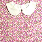 ���̑��̉摜