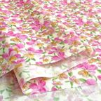 ���̑��̉摜