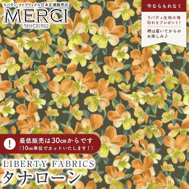 ���̑��̉摜