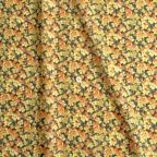 ���̑��̉摜